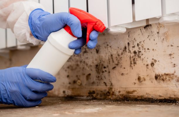 Mold-Remediation-in-Denver-Colorado